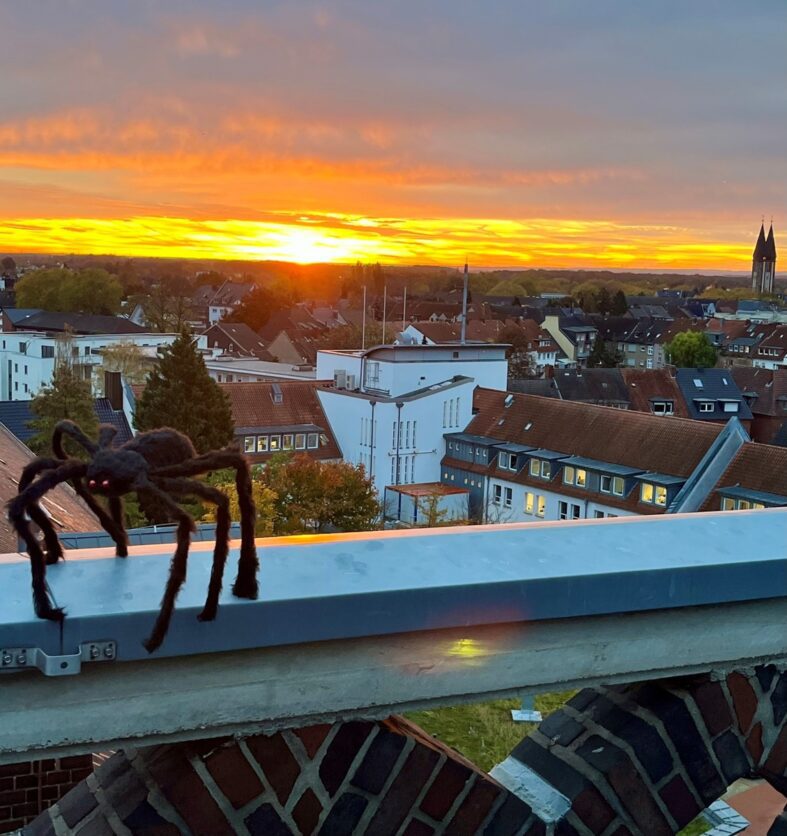 „Süßes oder Saures?“ – aber friedlich und ohne Grenzüberschreitung