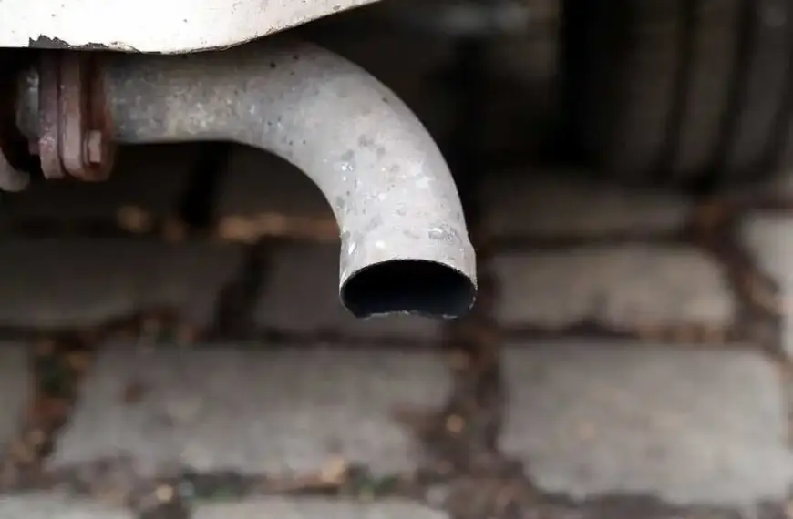 Ifo-Präsident drängt auf Rücknahme von Verbrennerverbot