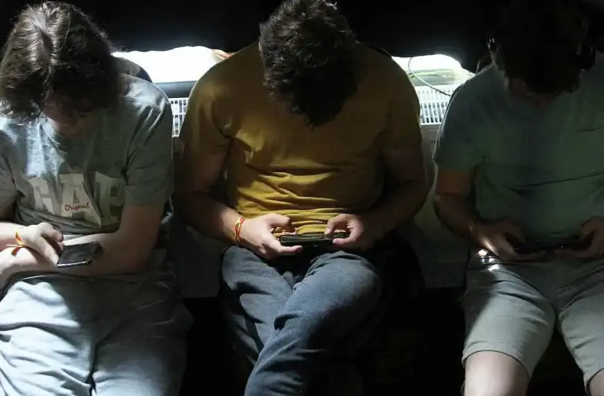 Petentin macht Druck für Social-Media-Verbot