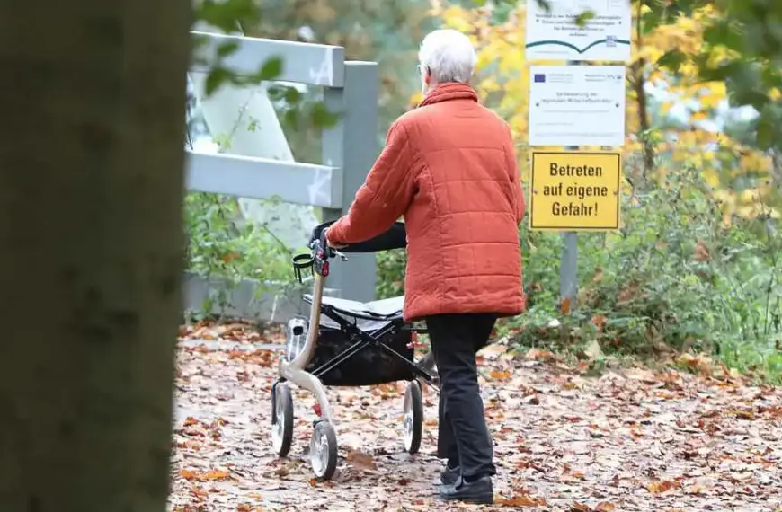 Linke legt eigenes Rentenkonzept vor
