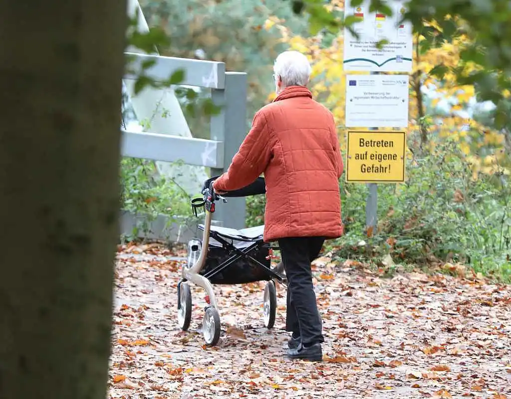 Linke legt eigenes Rentenkonzept vor