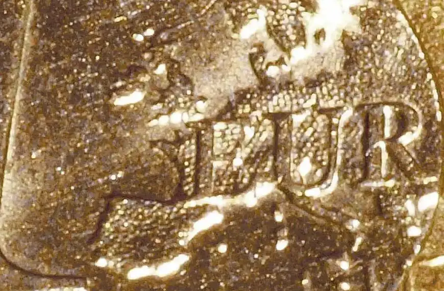 Verbraucherzentralen befürworten digitalen Euro