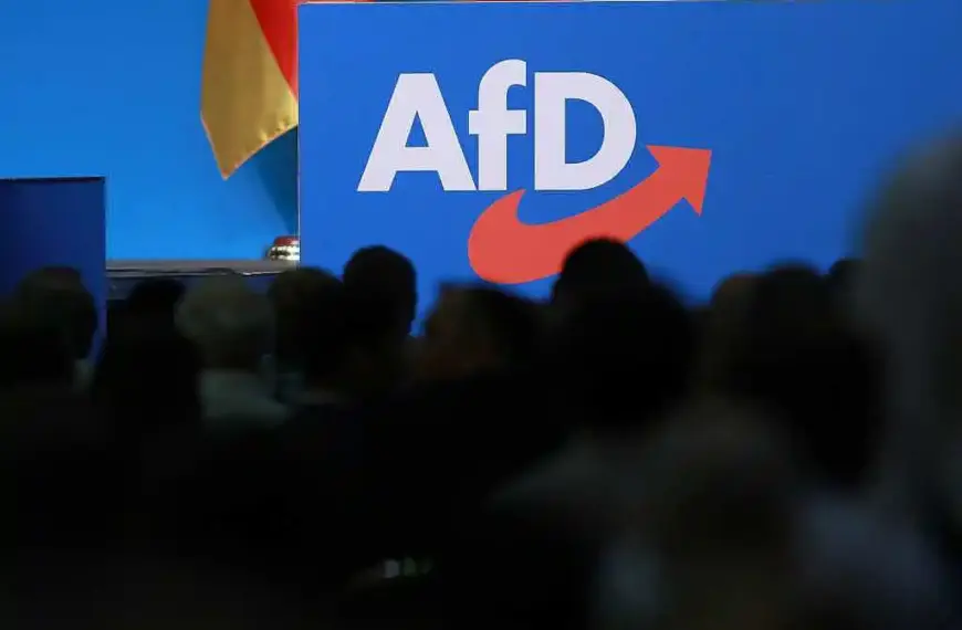 Wirtschaftsverbände diskutieren Ende der „Brandmauer“ zur AfD