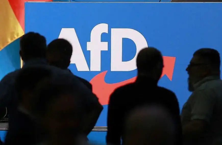 SPD kritisiert neue AfD-Strategie des Familienunternehmer-Verbands