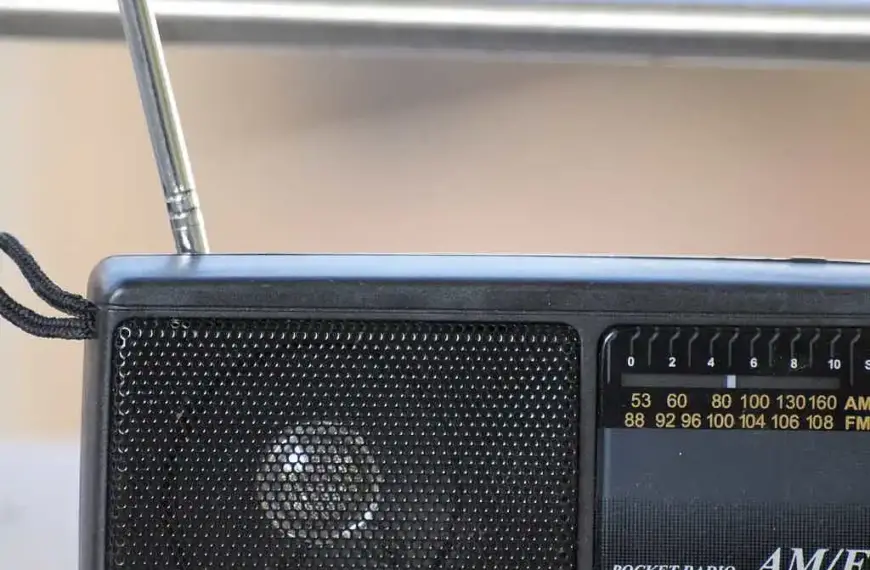 Dämmerland an Spitze der Album-Charts