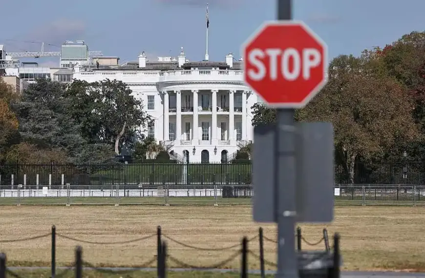 Irving protestiert gegen „autoritären Faschisten im Weißen Haus“