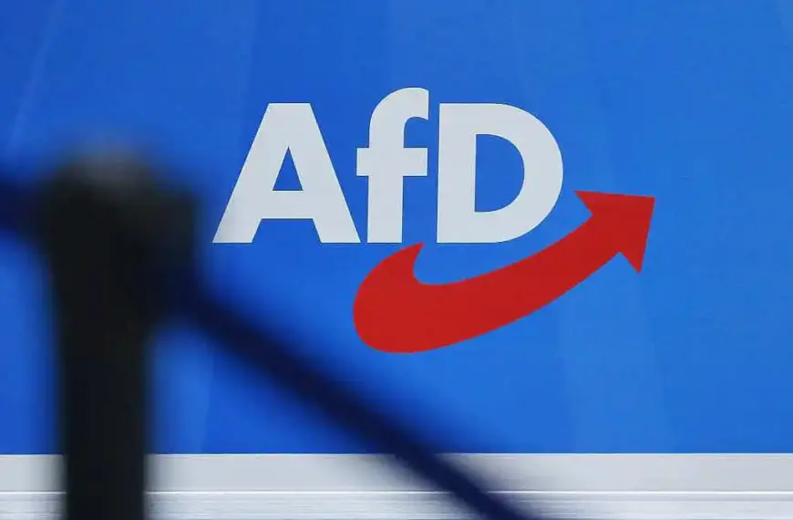 Ökonomen warnen vor Gesprächen mit der AfD