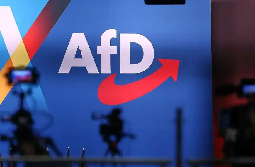 Scharfe Kritik an neuer AfD-Strategie der Familienunternehmer
