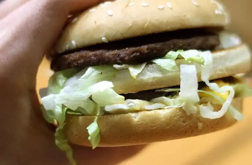 Gastro-Unternehmen verzeichnen niedrige Fünf-Jahres-Überlebensrate