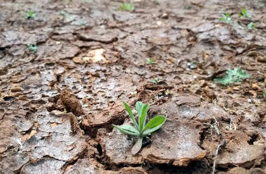 Dax-Konzerne bilden kaum Rückstellungen für Klimarisiken