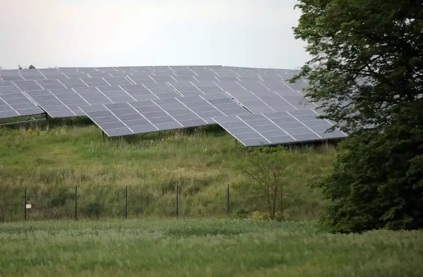 Energiepolitik: Union stellt Vorrang der Erneuerbaren infrage