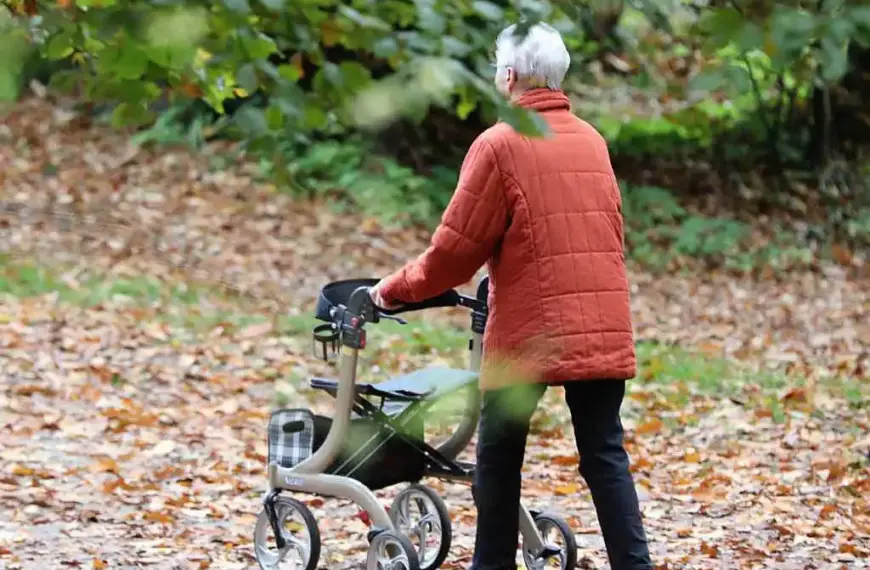 Ökonom kritisiert Rentenpolitik der Bundesregierung