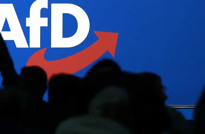 Rufe nach Vorbereitungen für AfD-Verbotsverfahren wieder lauter