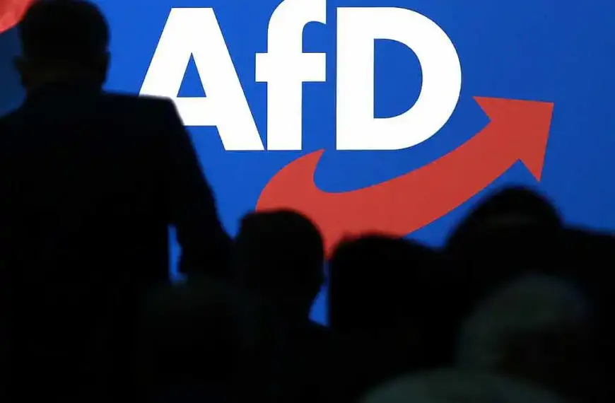 Neuer Schwung für mögliches AfD-Verbotsverfahren
