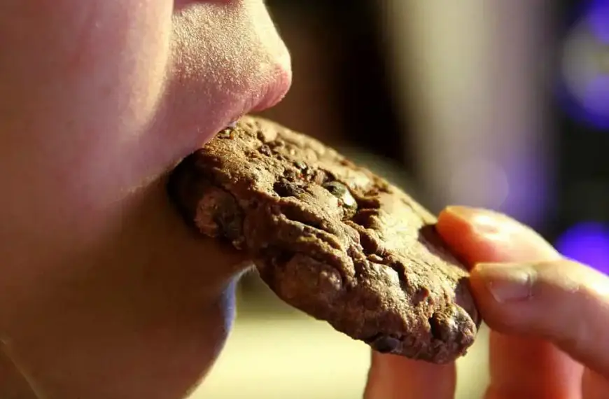 Ritter Sport beklagt „Schokoladenkrise“