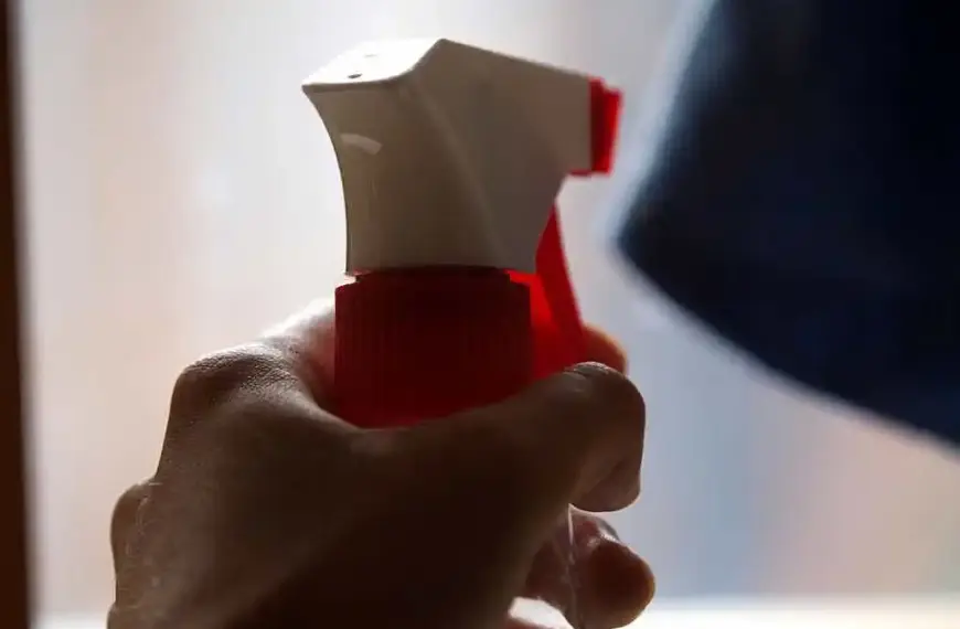 Nur jede zehnte Haushaltshilfe in Deutschland ist angemeldet