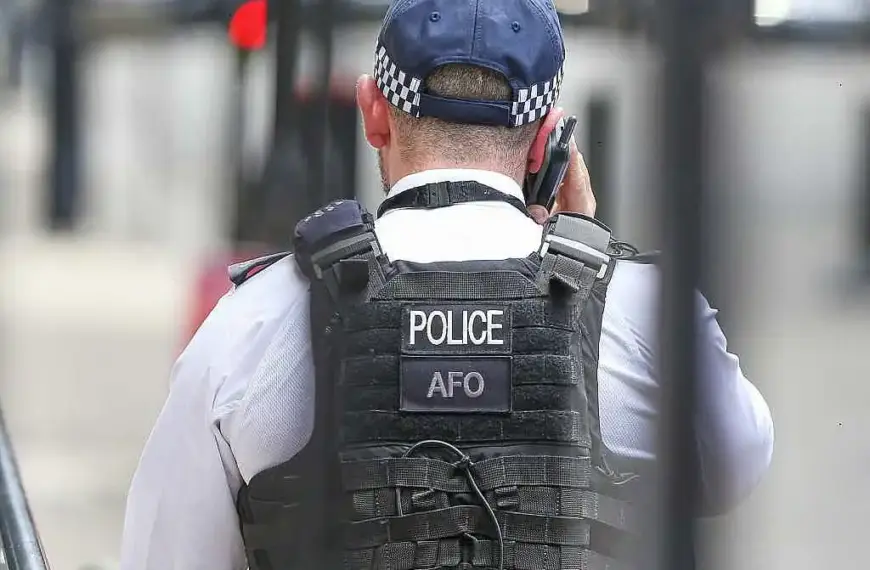 Greta Thunberg bei Demo in London festgenommen