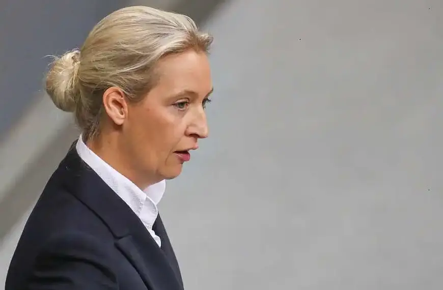 CDU und Grüne kritisieren Weidel für Verfassungsschutz-Aussage