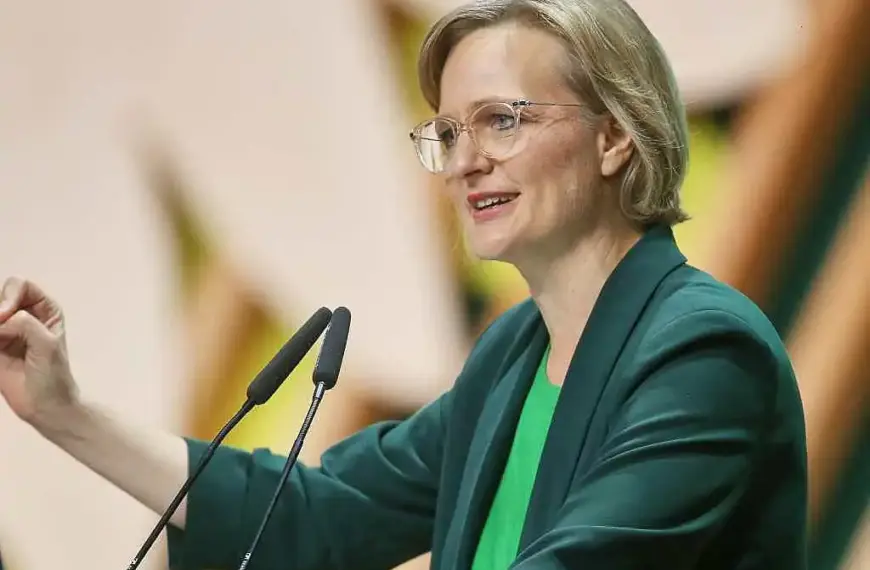 Brantner betrachtet neue US-Sicherheitsstrategie als Chance