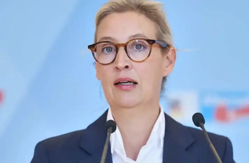 Bilger kritisiert Weidel-Äußerungen zum Verfassungsschutz