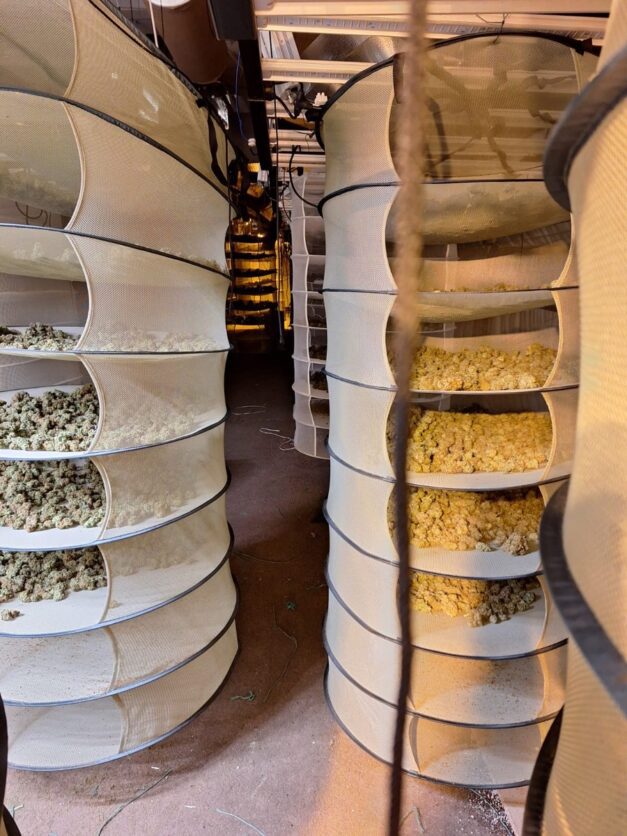 Eichsfeld: LPI-NDH meldet Schlag gegen Drogenkriminalität