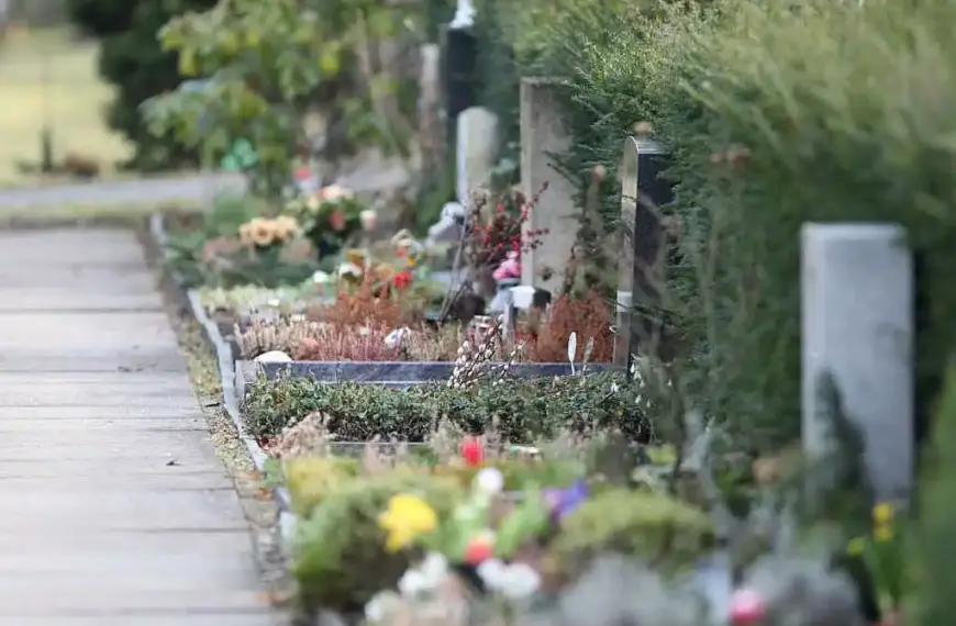 Sterbefallzahlen stagnieren 2025