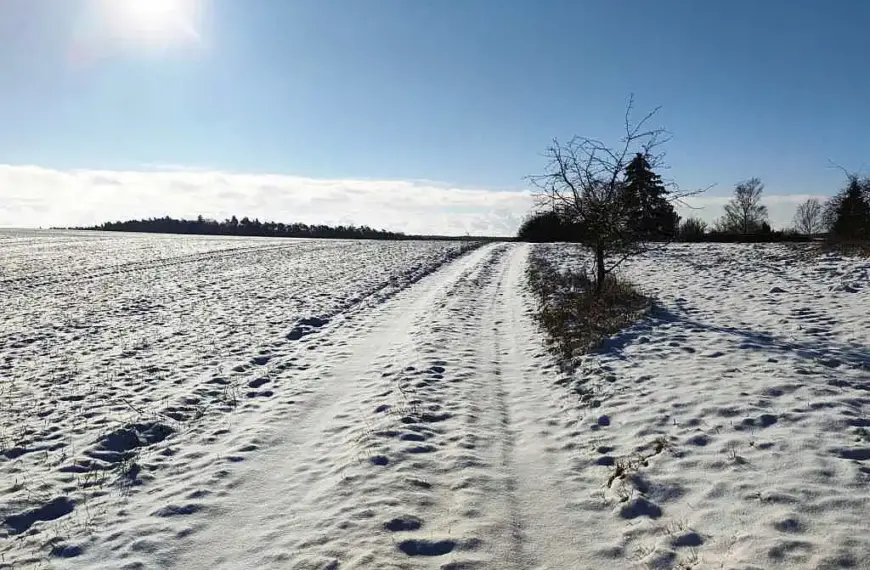 Kälteeinbruch: Verbände erwarten positive Folgen für Landwirtschaft