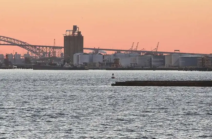 AfD kritisiert Trumps Zollpolitik