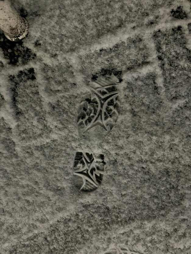 Hamburg: Festnahme nach versuchtem Einbruch – Polizisten als Fährtenleser im Einsatz