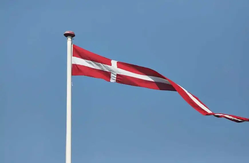 Handball-EM: Deutschland verliert Finale gegen Dänemark