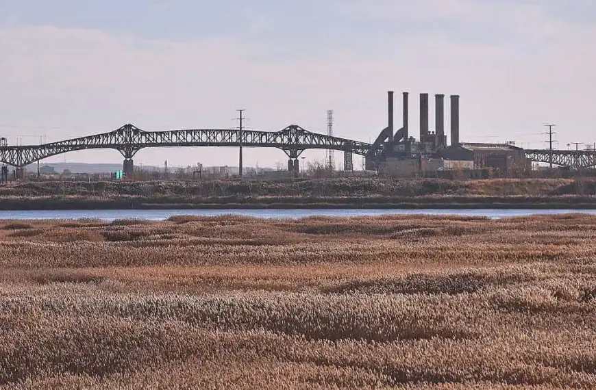 Lange verlangt für Zoll-Deal Rechtssicherheit von den USA