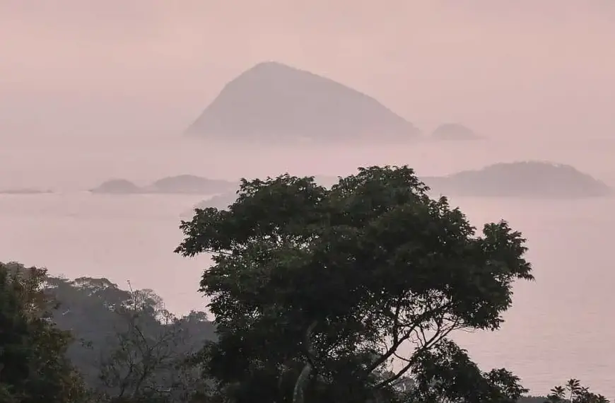 IPBES: Unternehmen gefährden durch Naturzerstörung eigene Zukunft