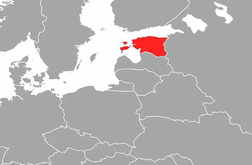 Aus Russland kommende Drohne trifft Kraftwerk in Estland