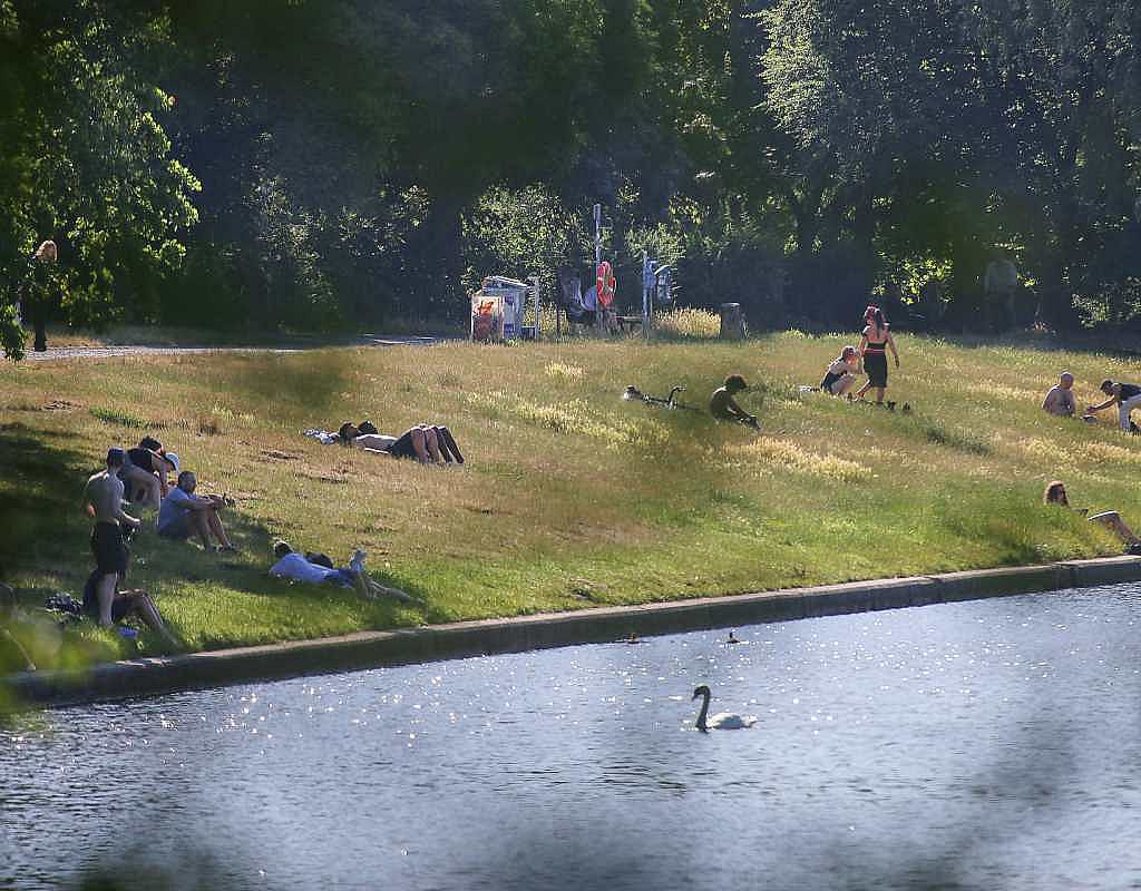Neuer Hitzerekord in Deutschland: 41,5 Grad in Sachsen-Anhalt gemessen